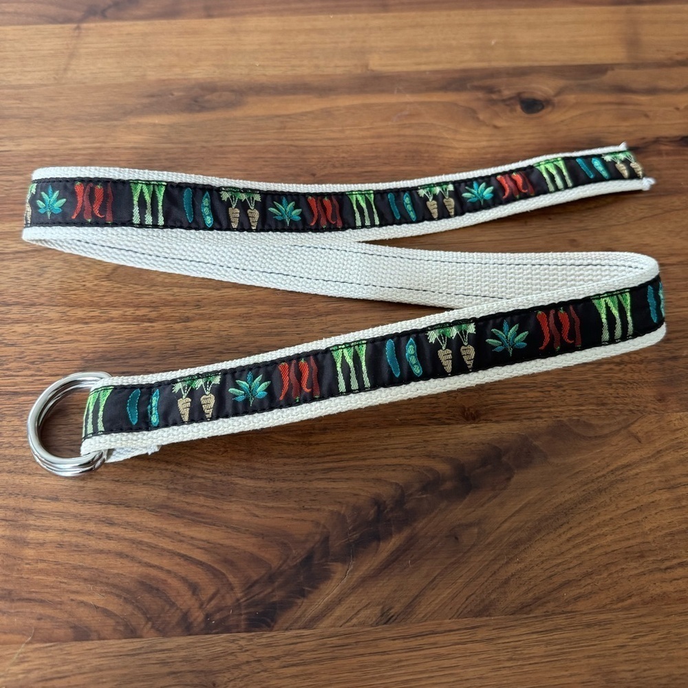 1970s Vintage Belt Cooking Garden Theme Novelty Belt Ladies Size Small 37 Long